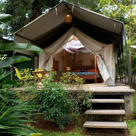 Bluemonkey Guesthouse Entebbe Exteriör bild
