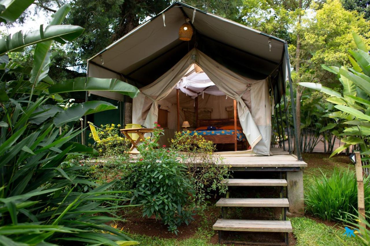 Bluemonkey Guesthouse Entebbe Exteriör bild