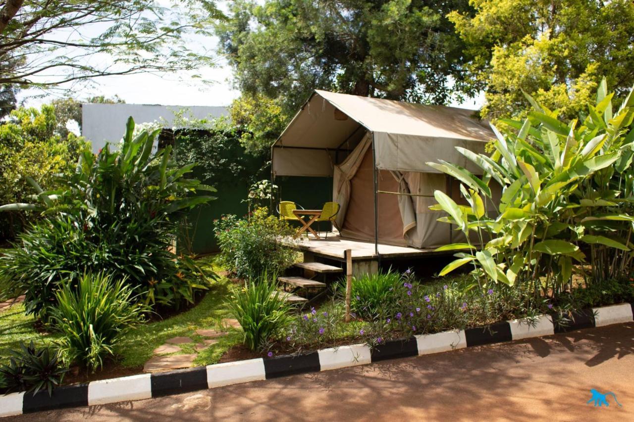 Bluemonkey Guesthouse Entebbe Exteriör bild