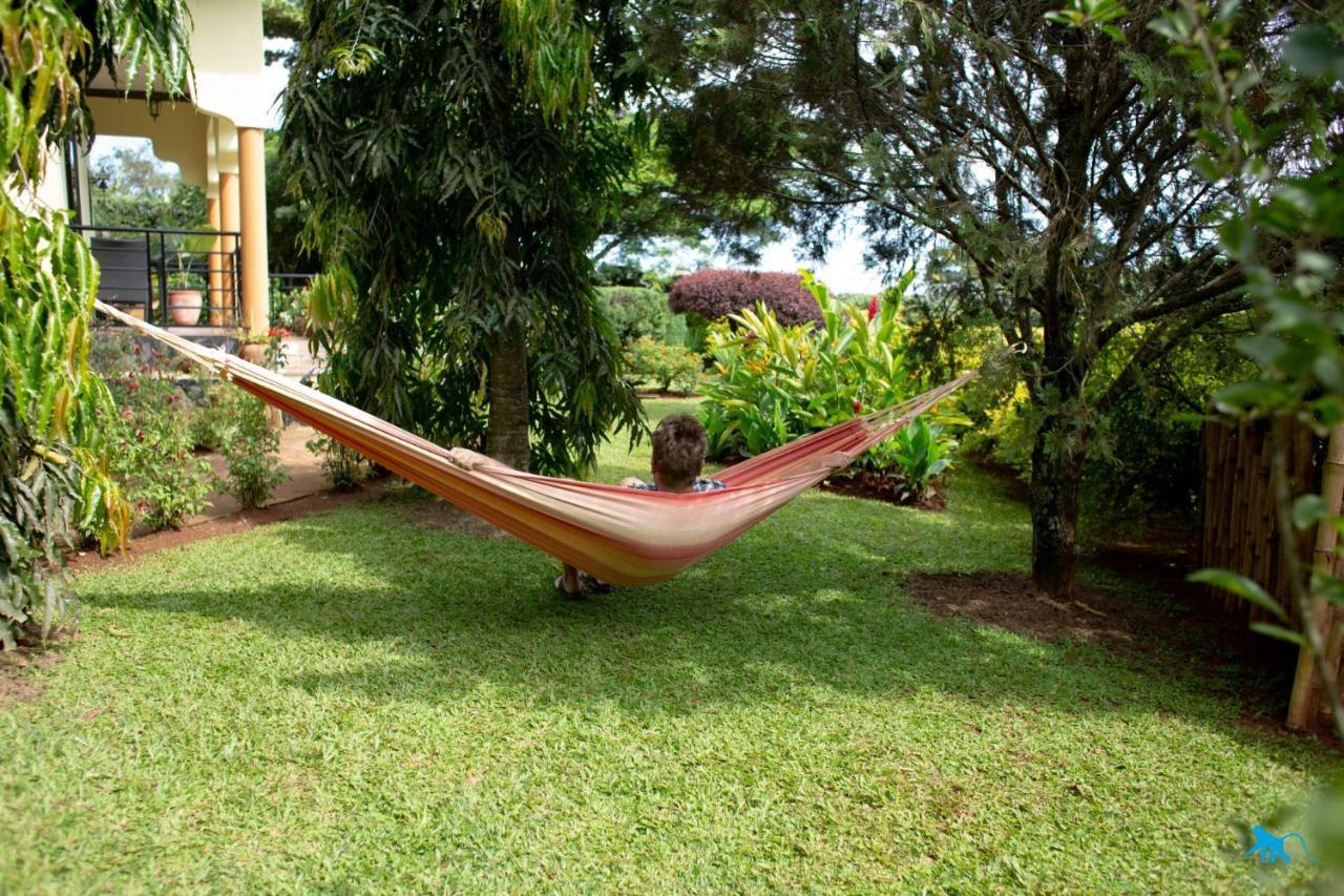 Bluemonkey Guesthouse Entebbe Exteriör bild