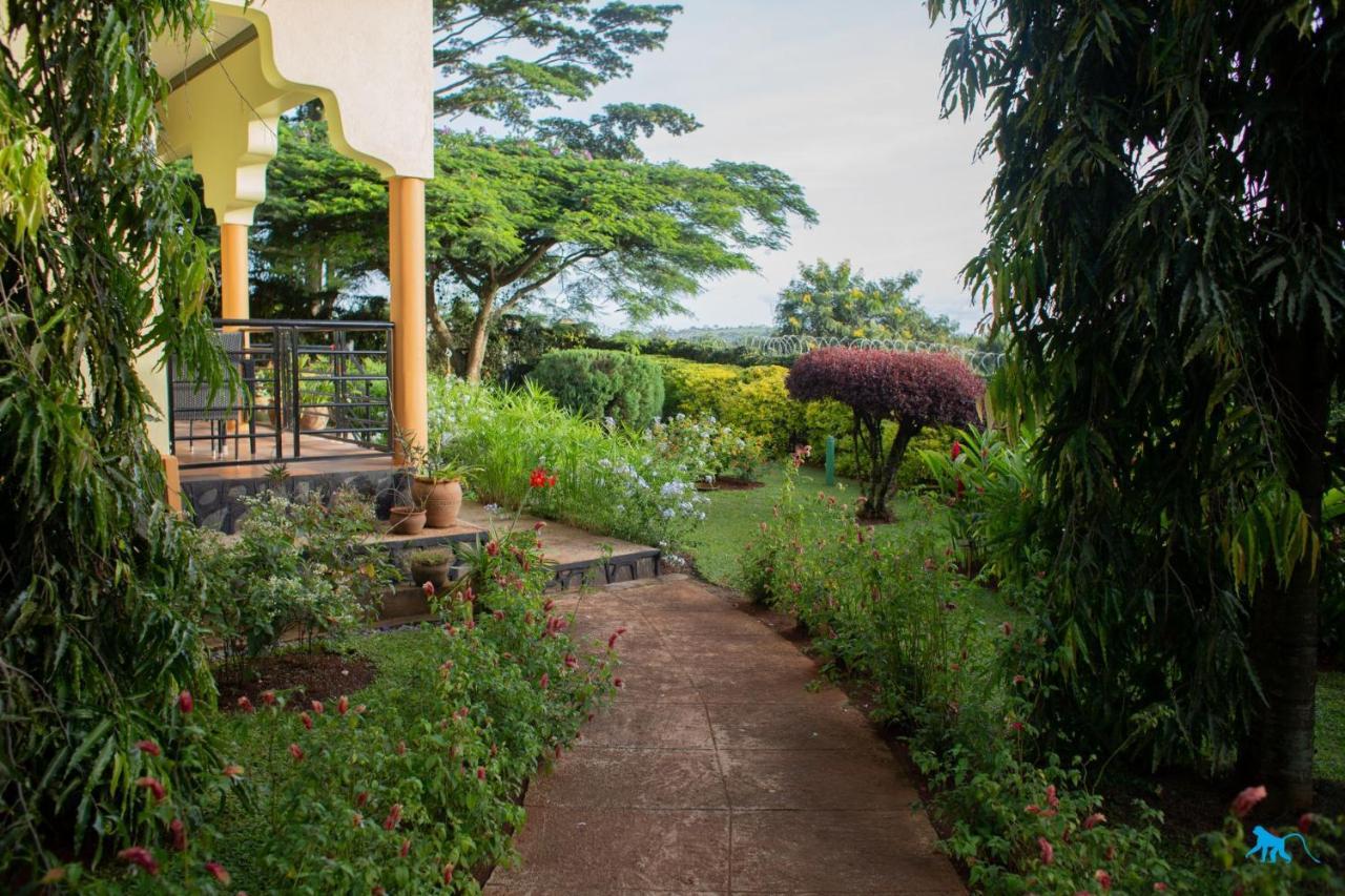 Bluemonkey Guesthouse Entebbe Exteriör bild